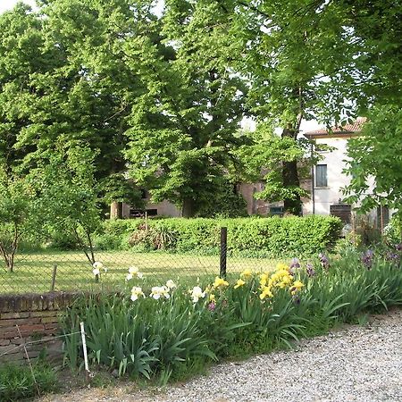 Agriturismo Antica Corte Cason Villa Ronco all'Adige Exterior photo